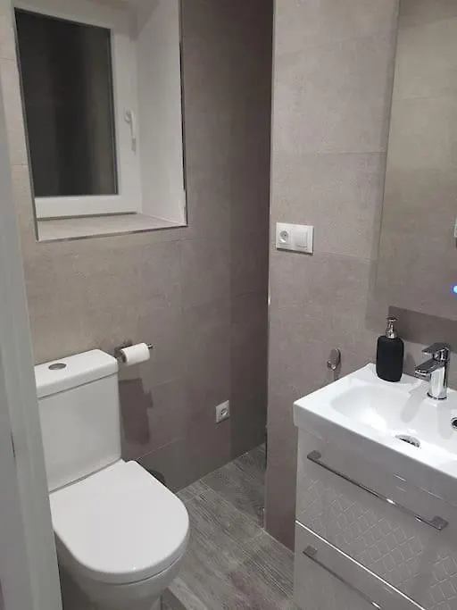 Coqueto Loft En El Centro De Santander Apartment